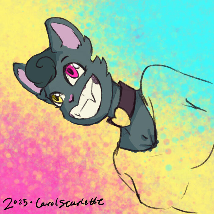 Art of cat character with heterochromia eyes. Pan flag colors background.