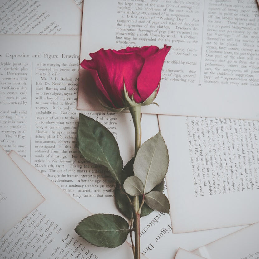 place-holder avatar of royalty-free stock image of red roses, found on Unsplash.Com.